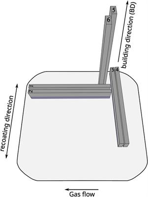 Laser powder bed fusion (LPBF) of commercially pure titanium and alloy development for the LPBF process